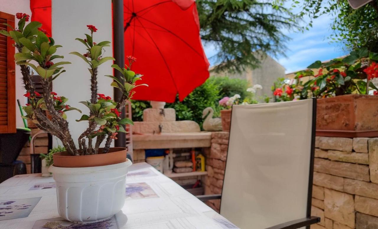 Valentino Apartment Novigrad  ภายนอก รูปภาพ