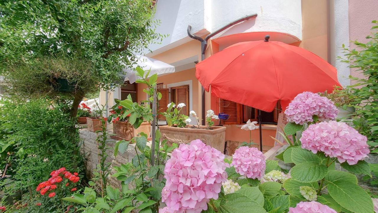 Valentino Apartment Novigrad  ภายนอก รูปภาพ
